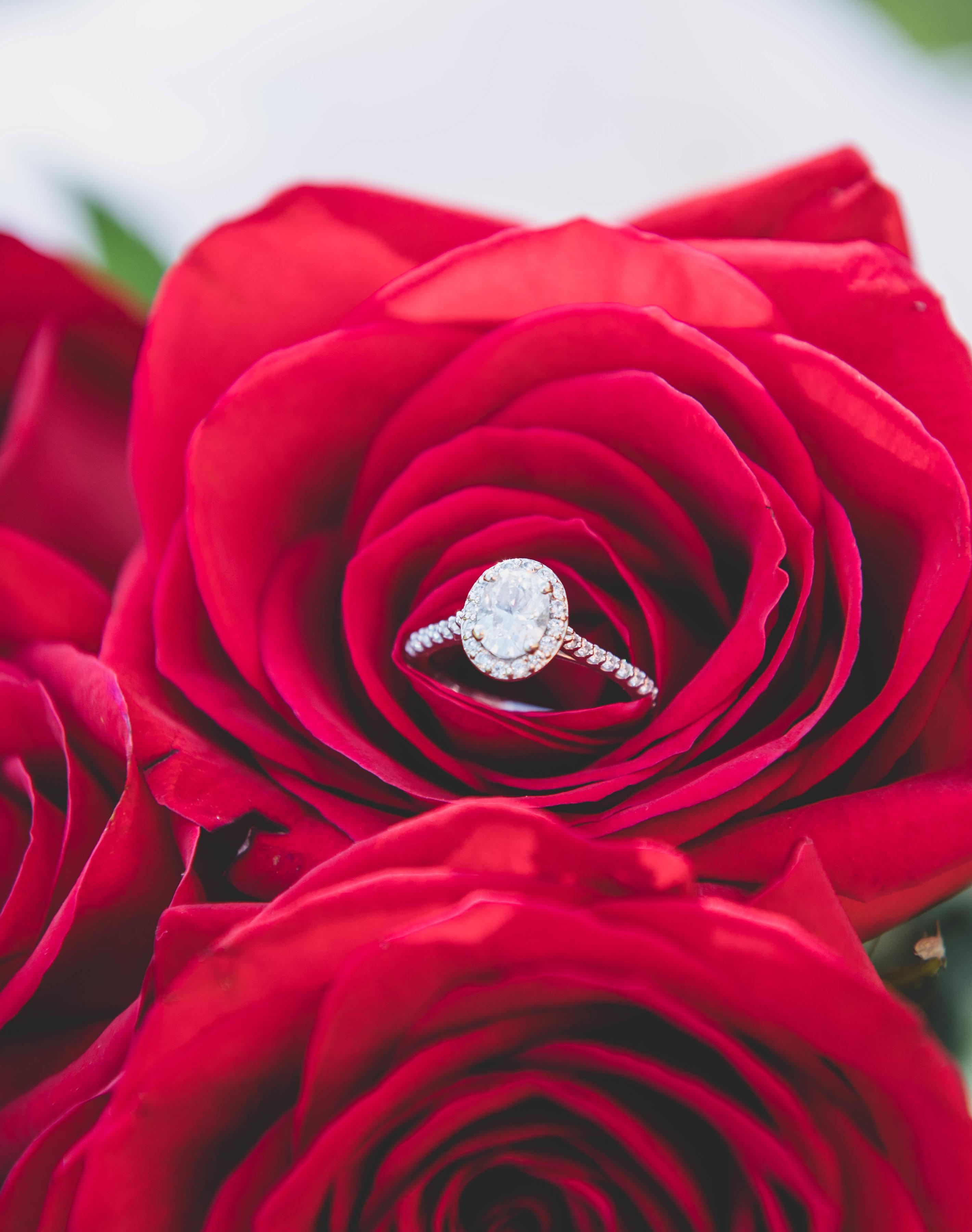 The Wedding Website of Sarah Bray and Sean Vencil