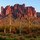 Lost Dutchman State Park