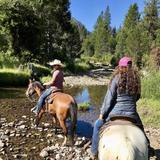 Alpine Meadows Stables