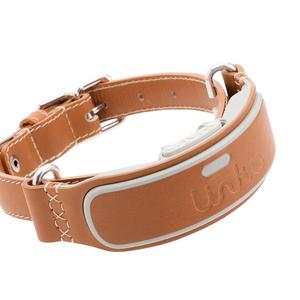 LINK AKC Smart Dog Collar - GPS Location Tracker, Activity Monitor, and More, Leather Large (KITTN03)