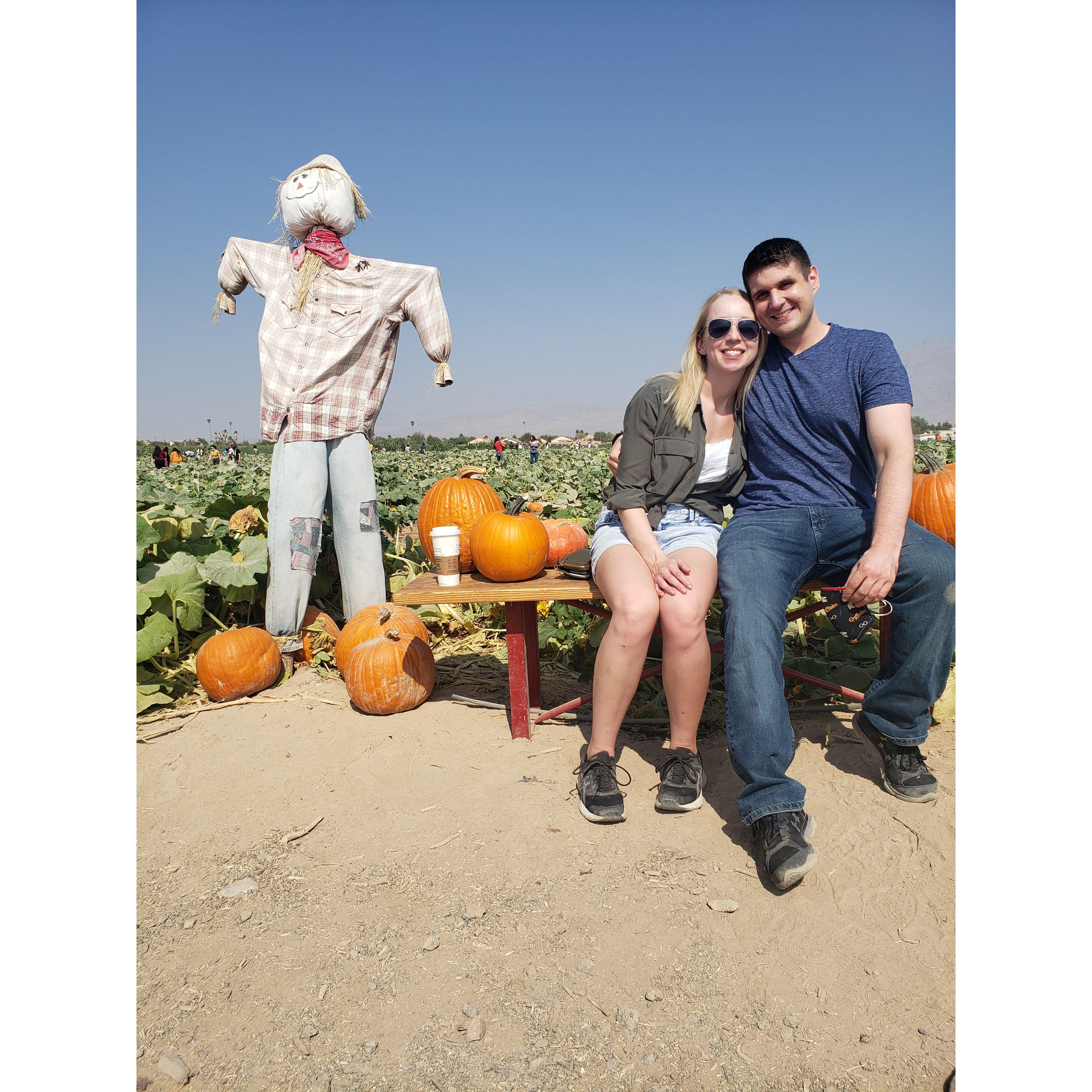 Las Vegas pumpkin patch!