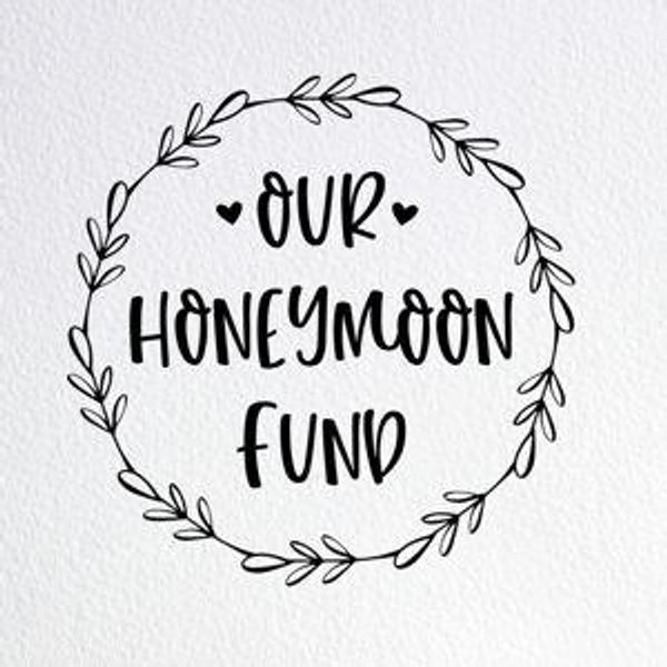 Our Newlywed / Honeymoon Fund