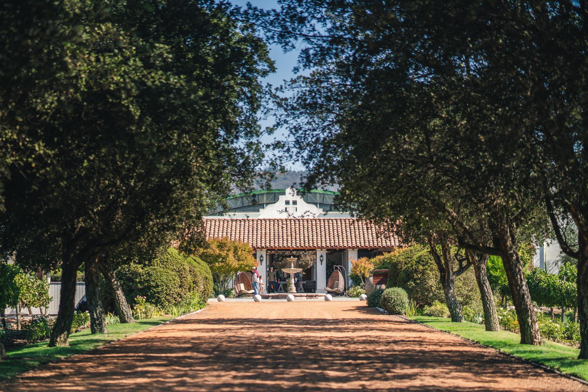 The Wedding Website of Paula Leal and Mathias Bergan