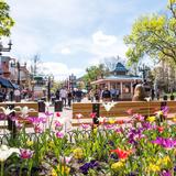 Pearl Street Mall