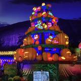 Stone Mountain Park Pumpkin Festival