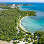 La Jungla Beach