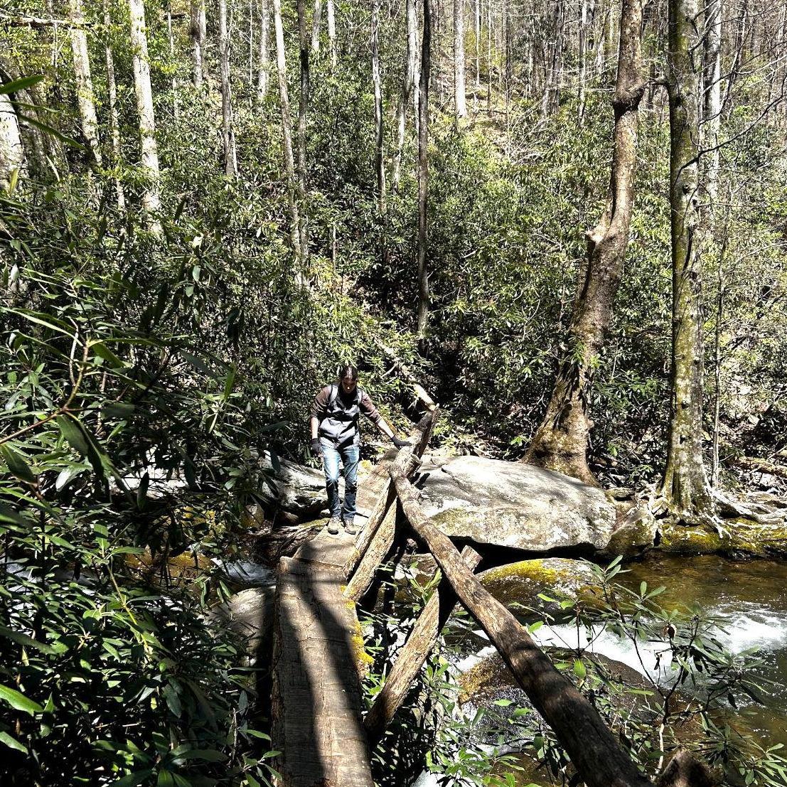 Caesars Head State Park, SC. Dismal Trail.