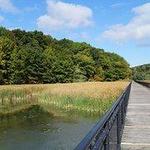 Genesee Riverway Trail