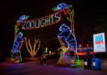 National Zoo: Zoo Lights