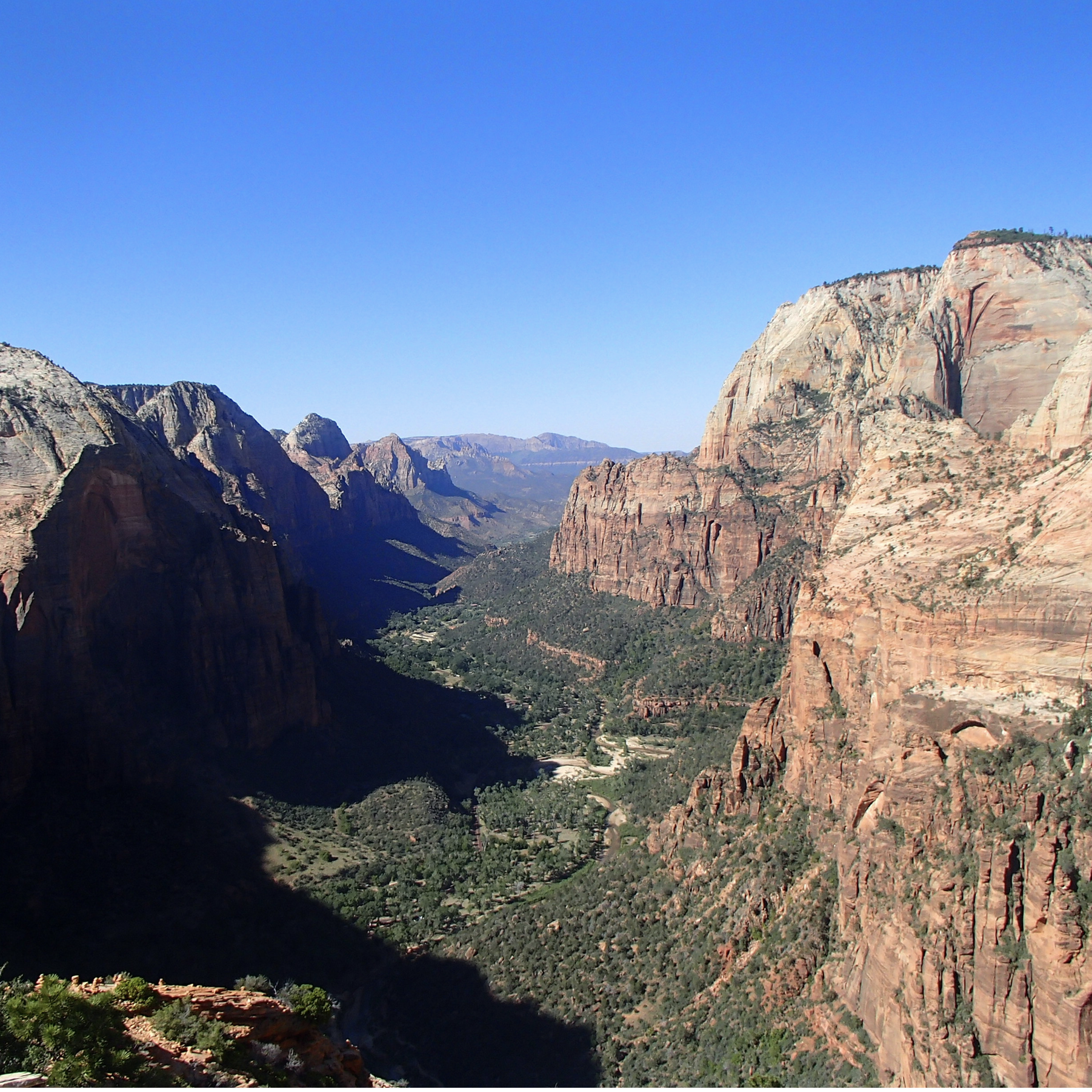 We took a roadtrip after graduation & visited the Badlands, Mt Rushmore, Yellowstone, the Tetons, all 5 Utah National Parks, & the Grand Canyon. This picture is from Zion - one of our favorite stops!