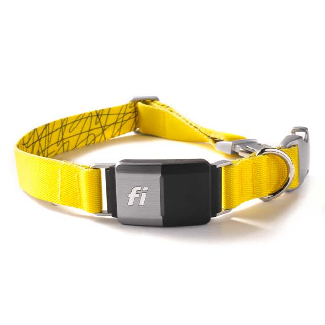 Fi Collar$149