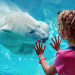 St. Louis Zoo