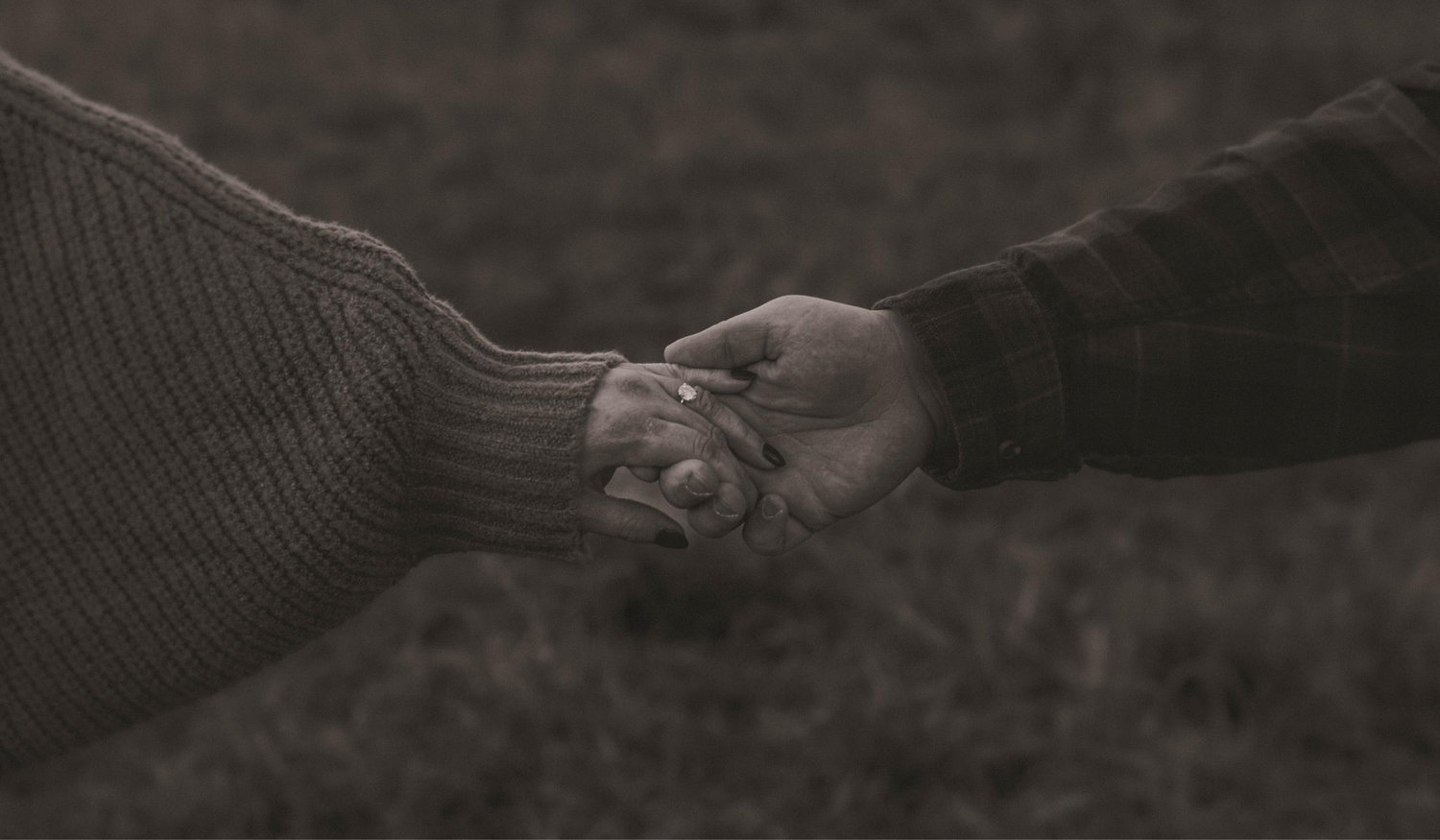 The Wedding Website of Hannah Bukowski and Daniel Whitehead