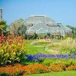 Lincoln Park Conservatory or Garfield Park Conservatory