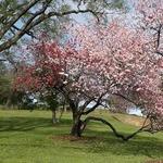 Coleman Hill Park
