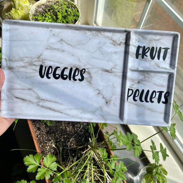 Portion Platters - Bunny Food Plate, Aesthetic Marble Plates, Fruit and Veggies for Rabbits, Lettuce Plates for Bunnies, Rabbit Food Platter