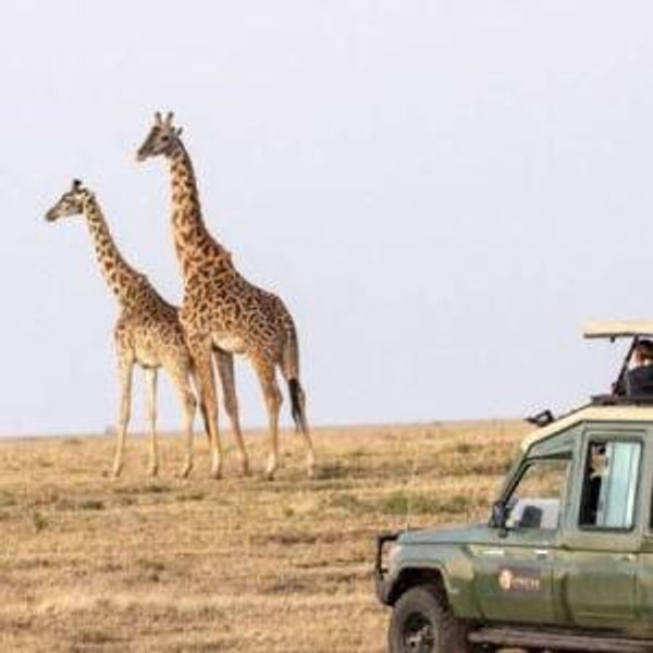 African Safari & Seychelles Honeymoon Fund