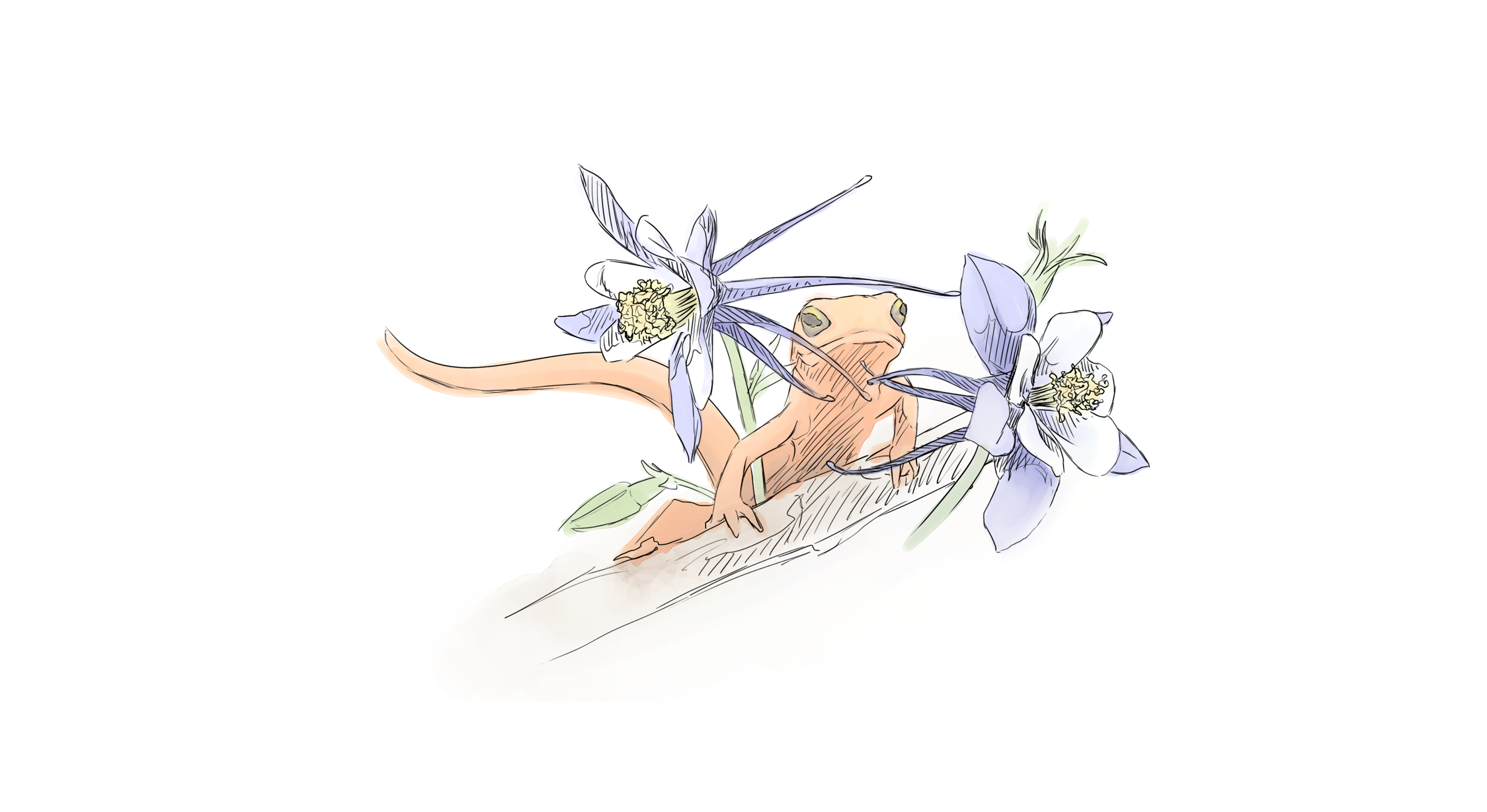 Footer image