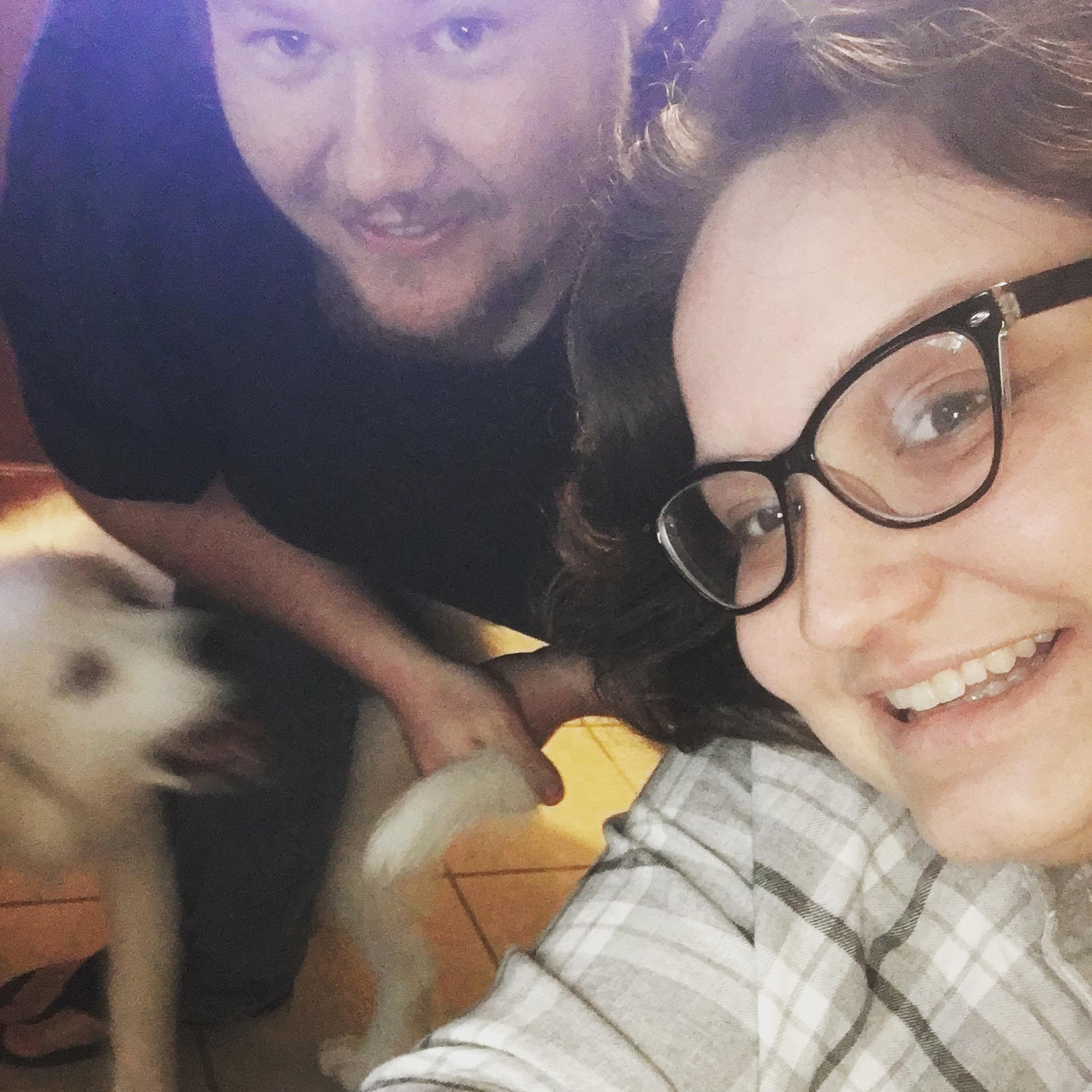 I think we were teaching Ellie to sit... it was obviously going well.