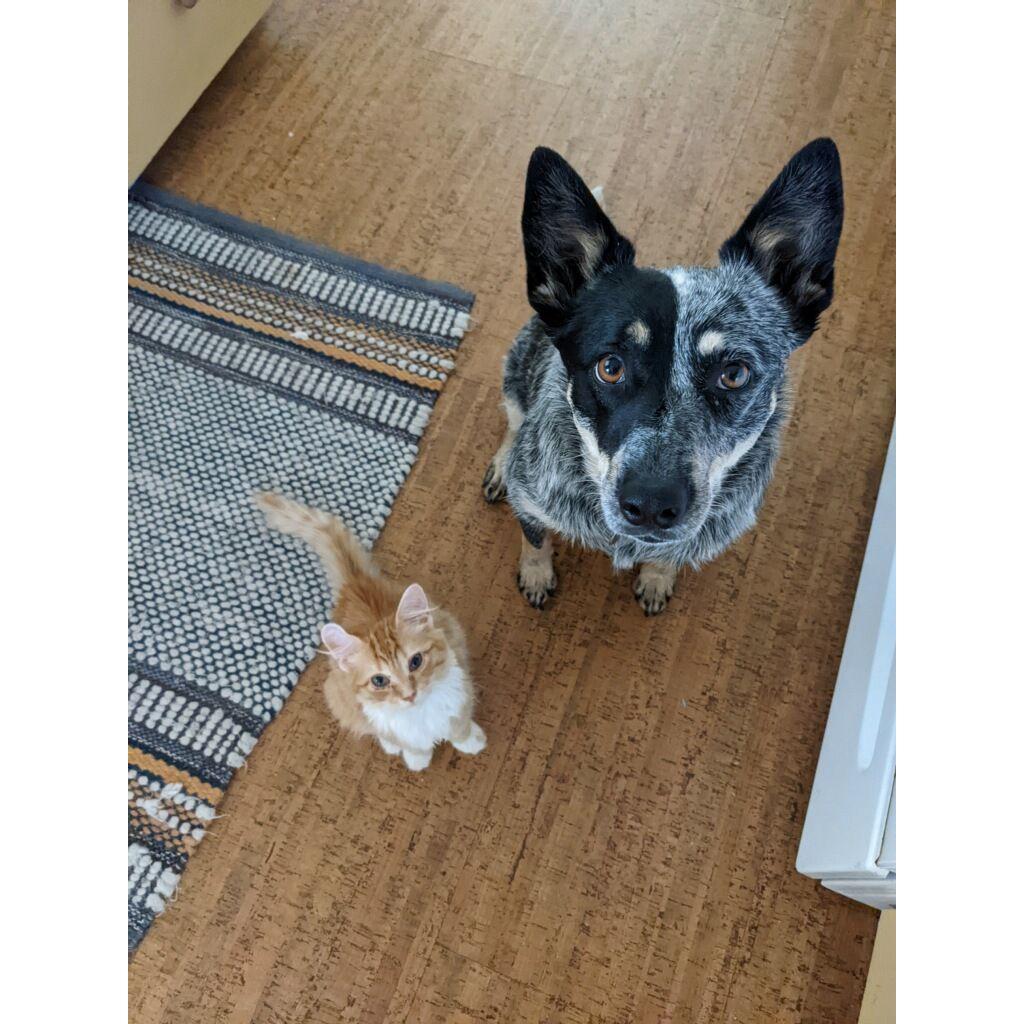 Dayla and Piper