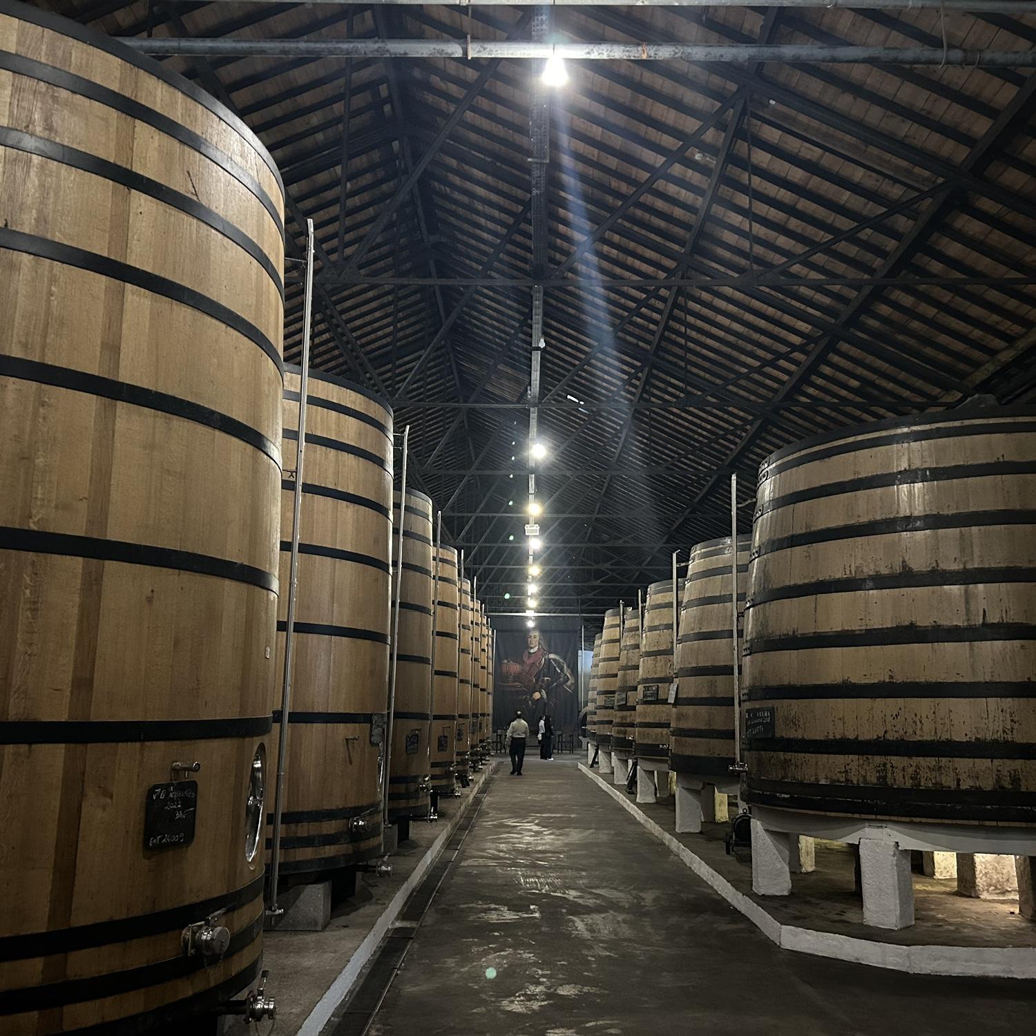 Touring Real Companhia Velha, the oldest wine company in Portugal, specializing in Port wines