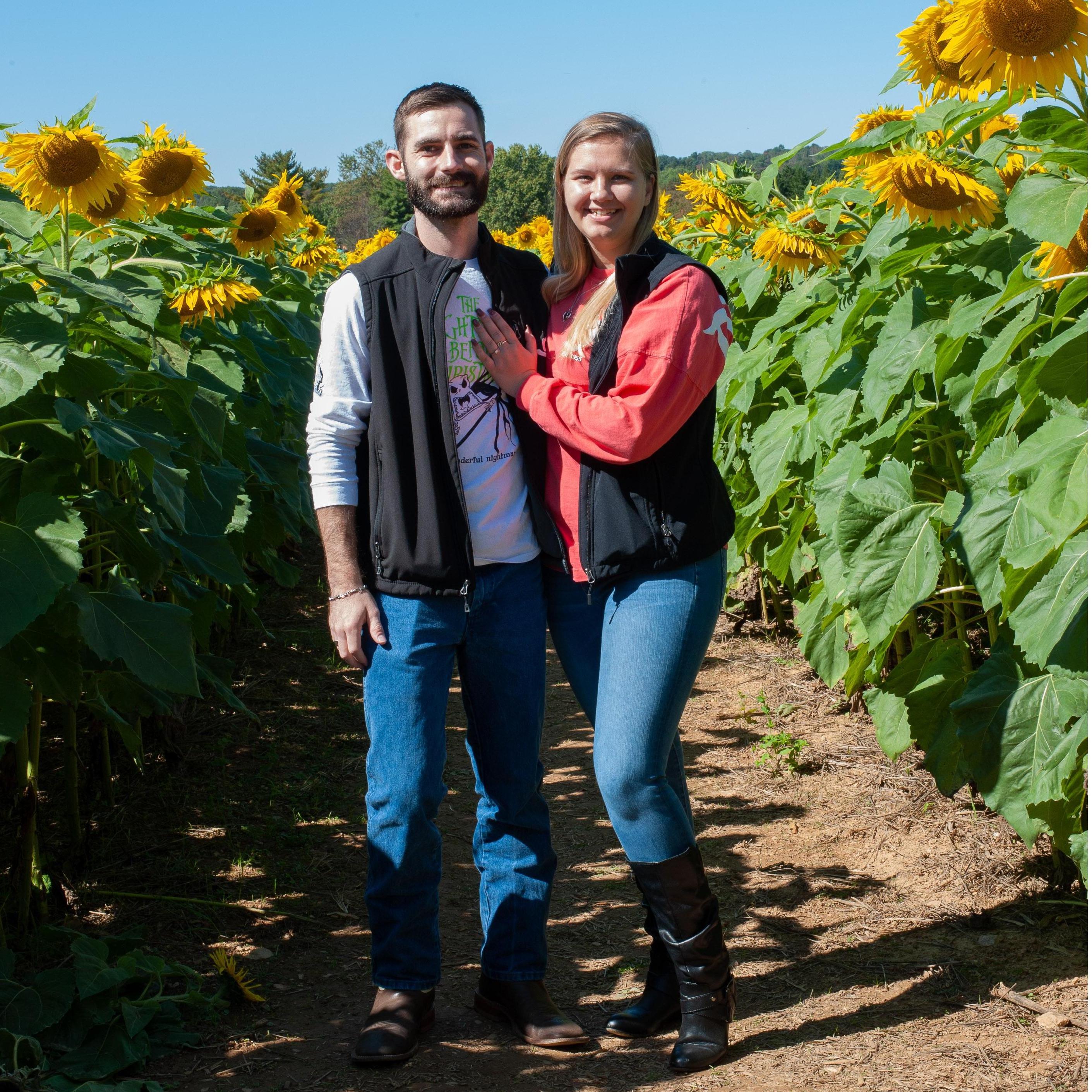 Sunflower field in Lisbon, Maryland
Oct 2020