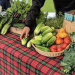 Woodinville Farmers Market