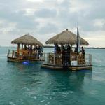 Crusin' Tikis Key West