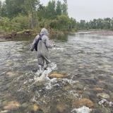 Gallatin River