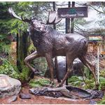 Northwest Trek Wildlife Park