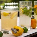 Cashew feni cocktail ride