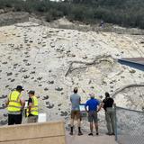 Dinosaur Ridge