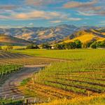 Santa Ynez Valley-Wine Tasting