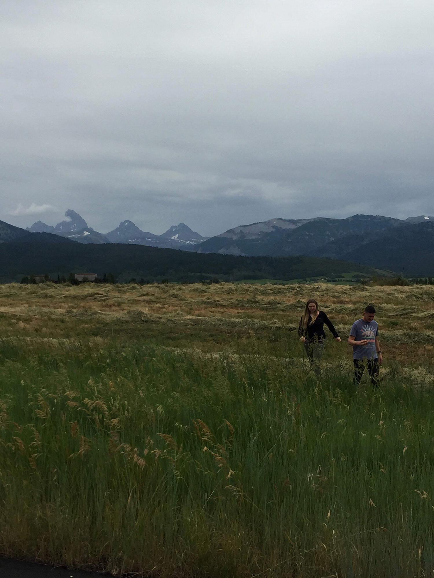 Driggs, ID July 2015.