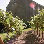Baker-Bird Winery
