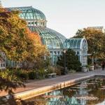 Brooklyn Botanic Garden