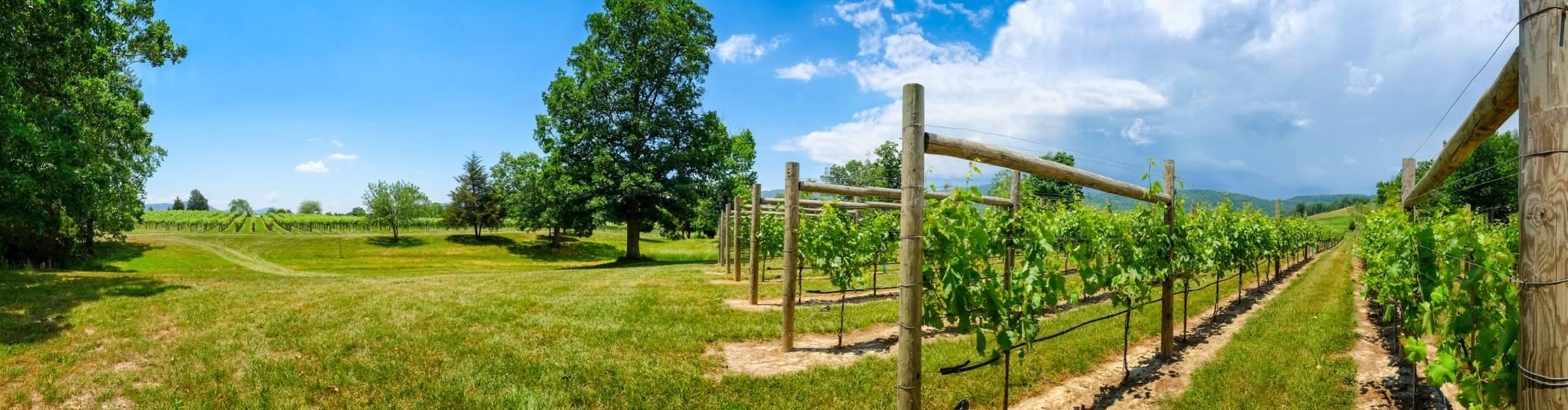 The Wedding Website of Julia Reilly and Alex Reilly