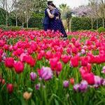 The Dallas Arboretum and White Rock Lake