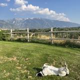 Explore: Crestwood Park