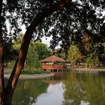 Arthur Storey Park