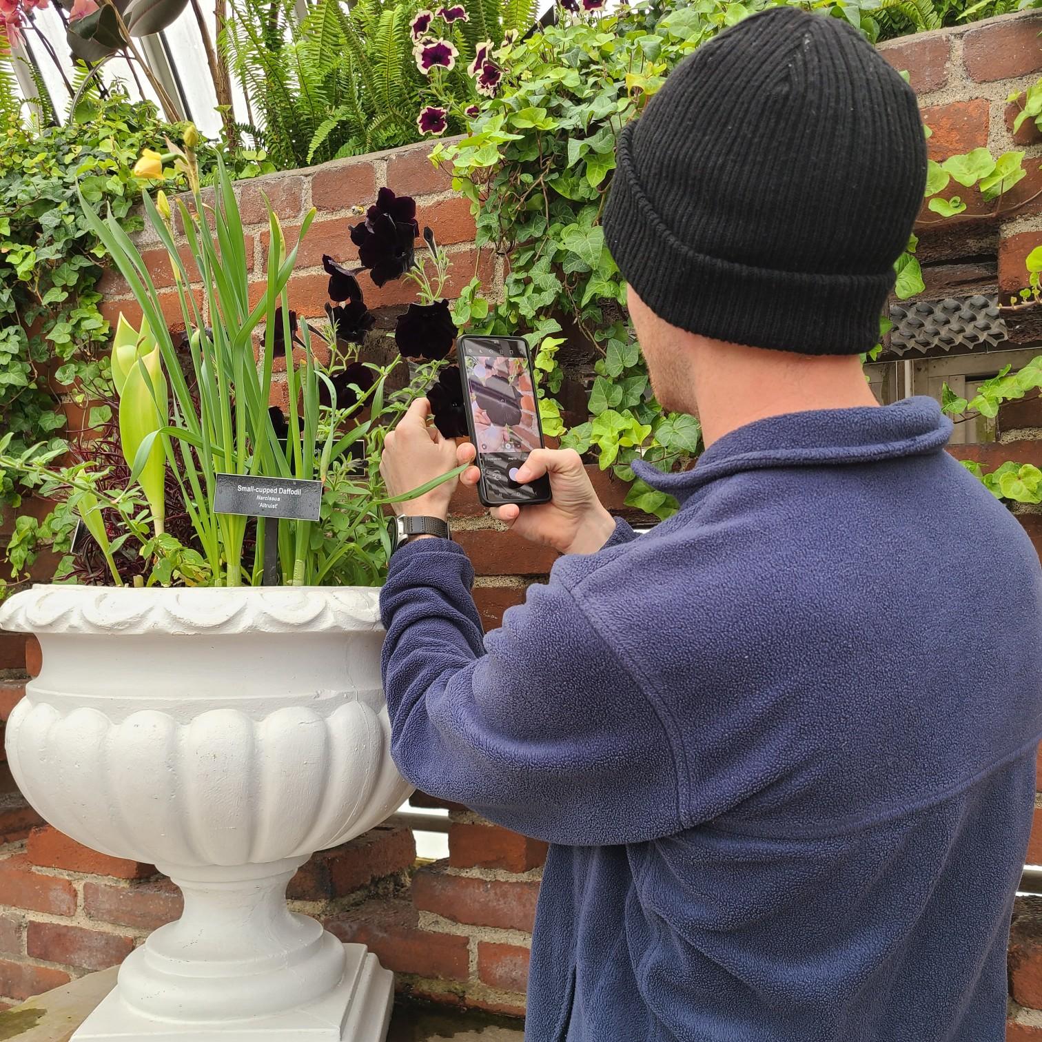 Me taking a picture of you taking a picture of a flower at the Phipps Conservatory in Pittsburgh.
