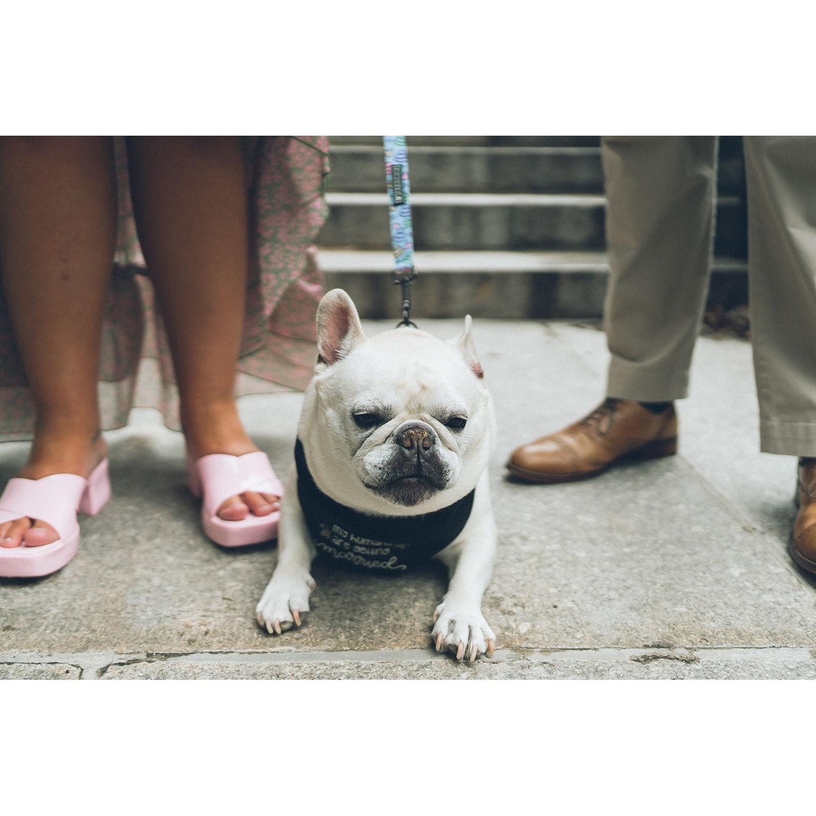 Our pride and joy Francis Gaetano Gracco-Bellacosa.