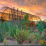 Desert Botanical Garden