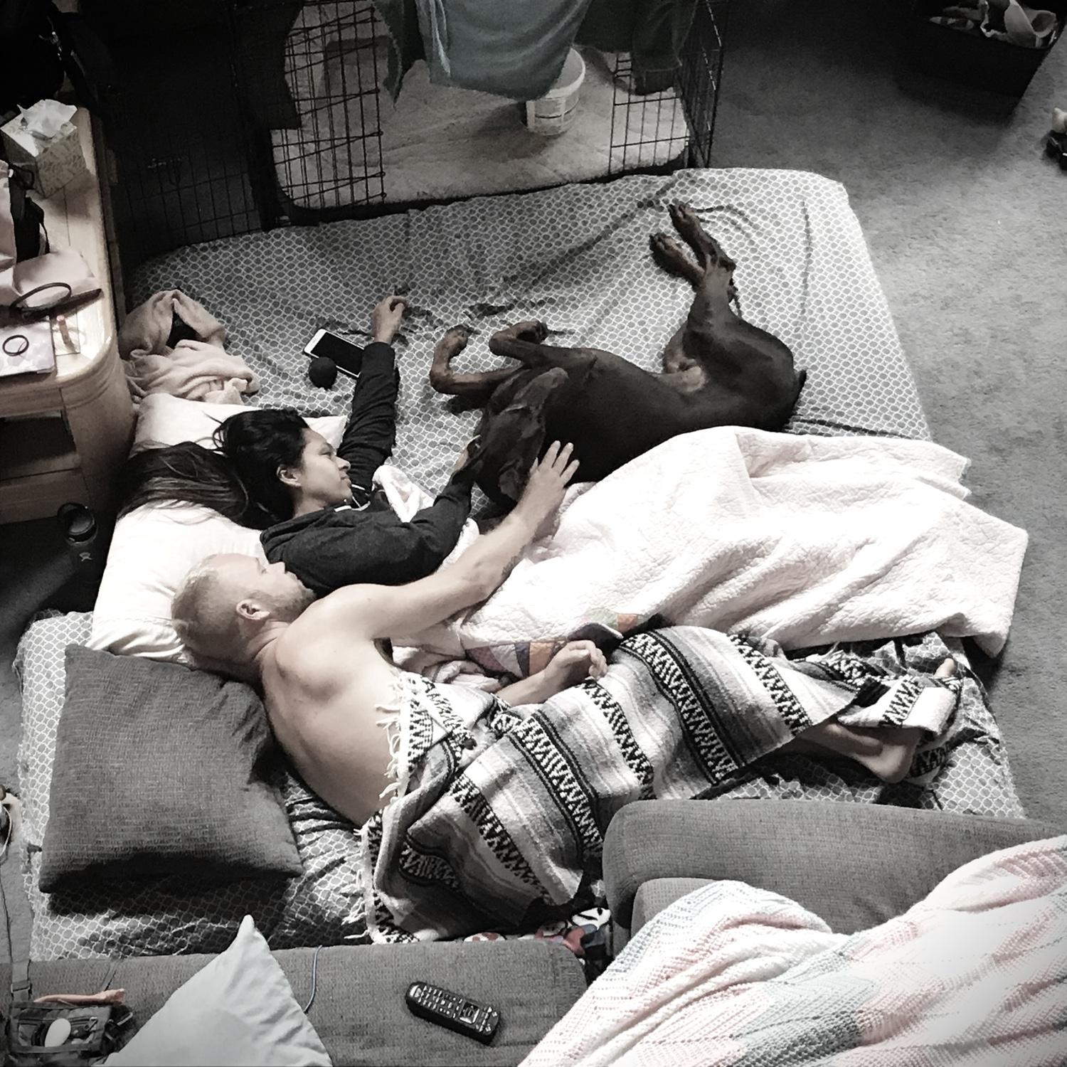 Hank’s final hours. Nash was my rock