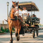 Historic Charleston Carriage Tour