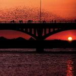 Congress Avenue Bridge