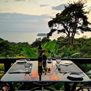 Honeymoon: Dining in the Rainforest