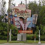 Busch Gardens