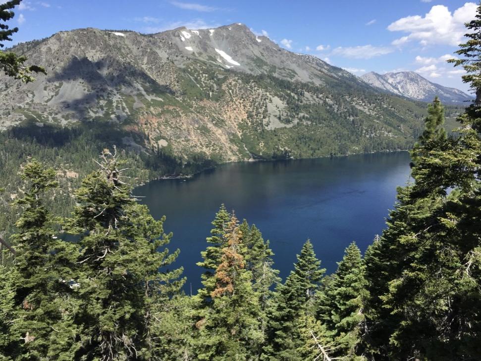 The Wedding Website of Megan Dent and Patrick Holsberry