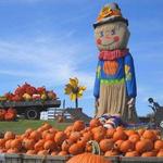 Linvilla Orchards